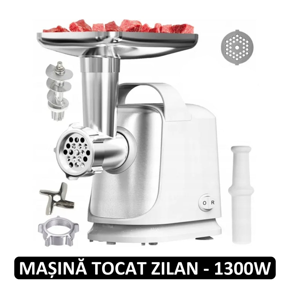 masina de tocat electrica zilan